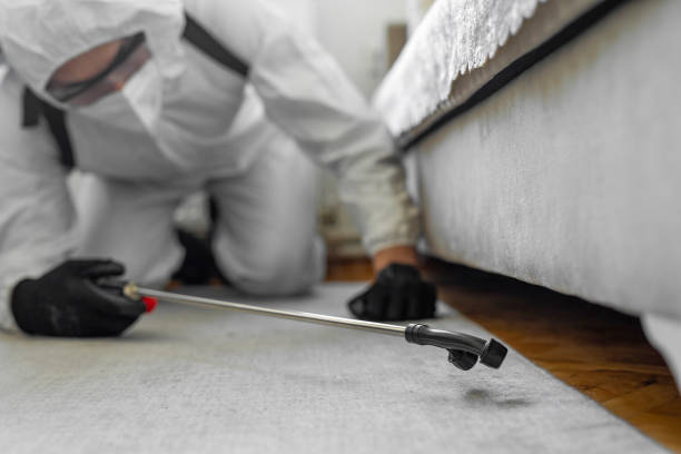 Professional Bed Bug Control technician working in Almedia, PA