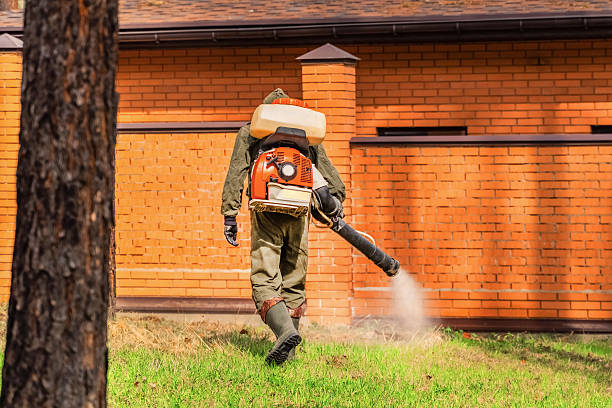 Trusted Mosquito Control service in Almedia, PA - Nex Pest Control